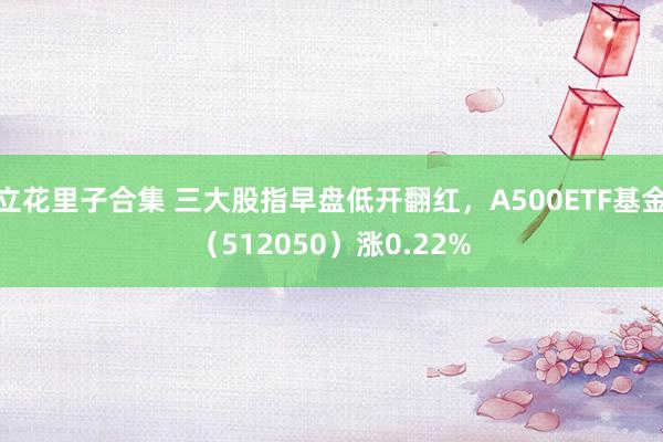 立花里子合集 三大股指早盘低开翻红，A500ETF基金（512050）涨0.22%