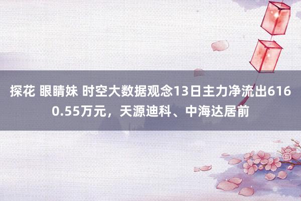探花 眼睛妹 时空大数据观念13日主力净流出6160.55万元，天源迪科、中海达居前