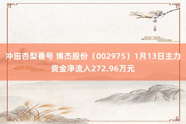 冲田杏梨番号 博杰股份（002975）1月13日主力资金净流入272.96万元