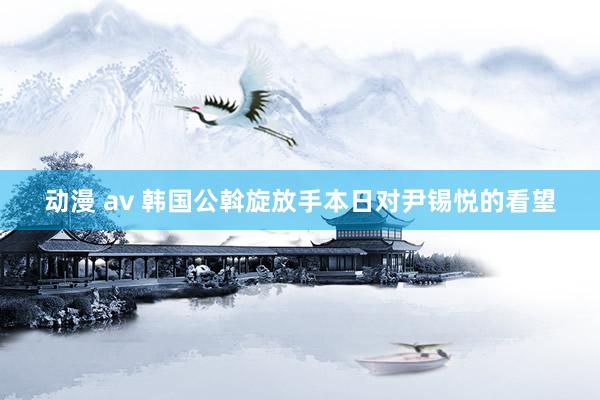 动漫 av 韩国公斡旋放手本日对尹锡悦的看望