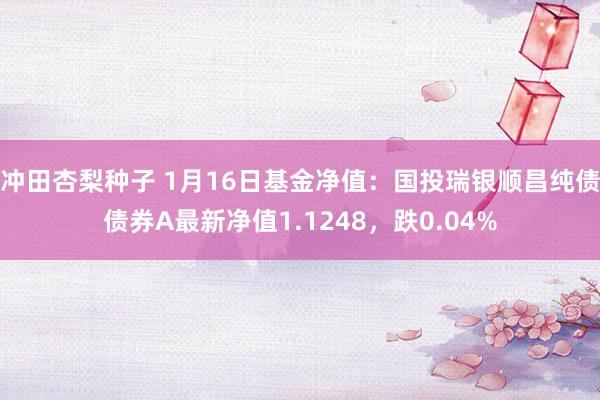 冲田杏梨种子 1月16日基金净值：国投瑞银顺昌纯债债券A最新净值1.1248，跌0.04%