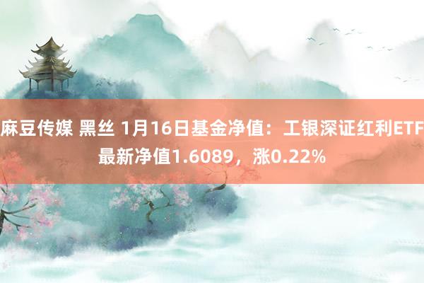 麻豆传媒 黑丝 1月16日基金净值：工银深证红利ETF最新净值1.6089，涨0.22%