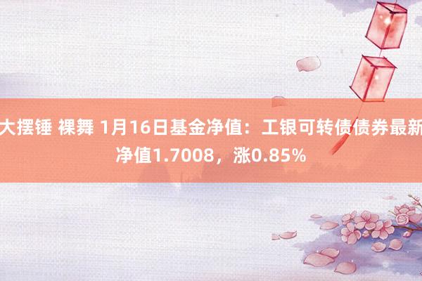 大摆锤 裸舞 1月16日基金净值：工银可转债债券最新净值1.7008，涨0.85%