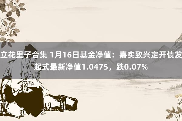 立花里子合集 1月16日基金净值：嘉实致兴定开债发起式最新净值1.0475，跌0.07%