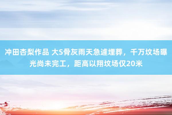 冲田杏梨作品 大S骨灰雨天急遽埋葬，千万坟场曝光尚未完工，距高以翔坟场仅20米