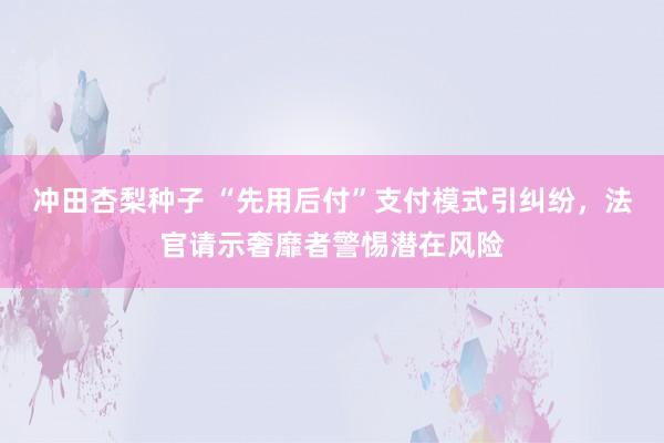 冲田杏梨种子 “先用后付”支付模式引纠纷，法官请示奢靡者警惕潜在风险