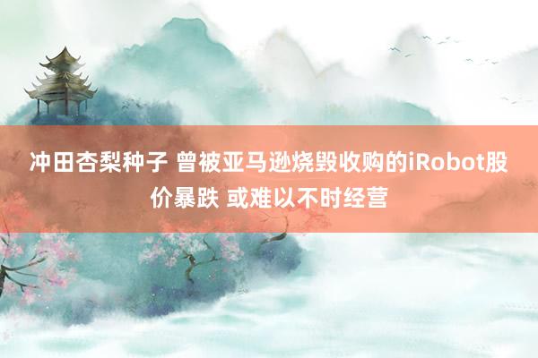冲田杏梨种子 曾被亚马逊烧毁收购的iRobot股价暴跌 或难以不时经营