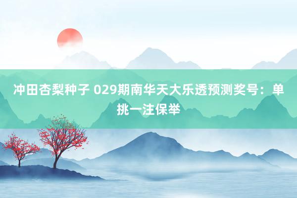 冲田杏梨种子 029期南华天大乐透预测奖号：单挑一注保举