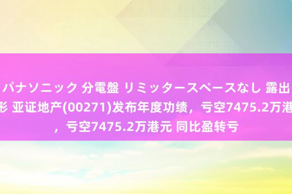 パナソニック 分電盤 リミッタースペースなし 露出・半埋込両用形 亚证地产(00271)发布年度功绩，亏空7475.2万港元 同比盈转亏