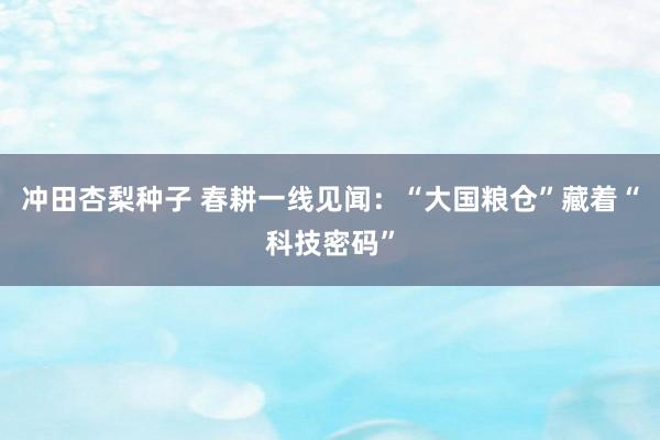 冲田杏梨种子 春耕一线见闻：“大国粮仓”藏着“科技密码”