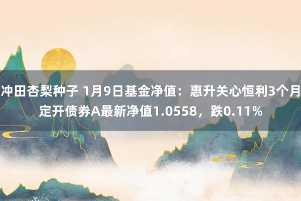 冲田杏梨种子 1月9日基金净值：惠升关心恒利3个月定开债券A最新净值1.0558，跌0.11%