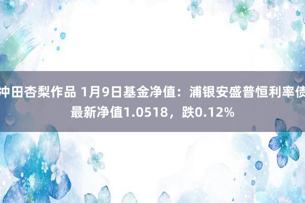 冲田杏梨作品 1月9日基金净值：浦银安盛普恒利率债最新净值1.0518，跌0.12%