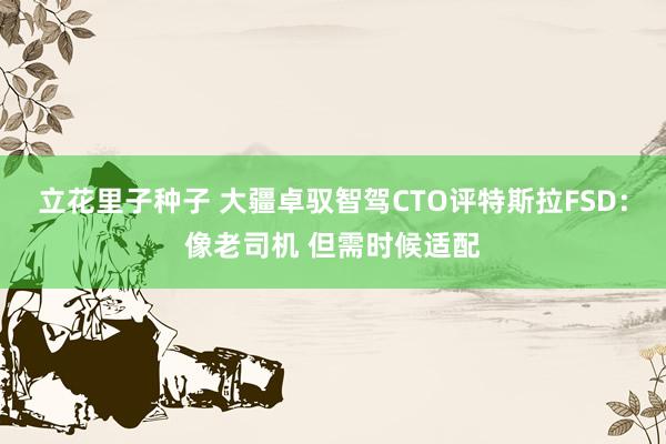立花里子种子 大疆卓驭智驾CTO评特斯拉FSD：像老司机 但需时候适配
