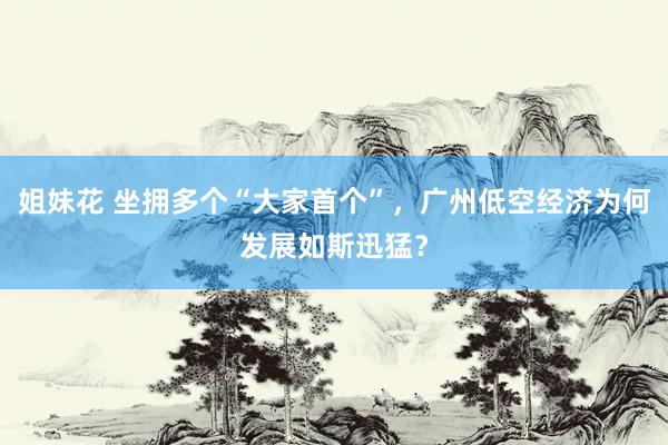 姐妹花 坐拥多个“大家首个”，广州低空经济为何发展如斯迅猛？