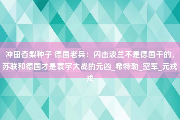 冲田杏梨种子 德国老兵：闪击波兰不是德国干的，苏联和德国才是寰宇大战的元凶_希特勒_空军_元戎