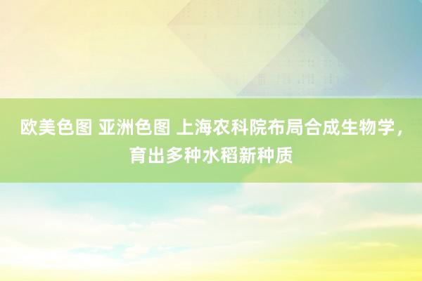 欧美色图 亚洲色图 上海农科院布局合成生物学，育出多种水稻新种质