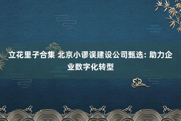 立花里子合集 北京小谬误建设公司甄选: 助力企业数字化转型