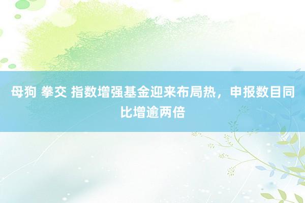 母狗 拳交 指数增强基金迎来布局热，申报数目同比增逾两倍