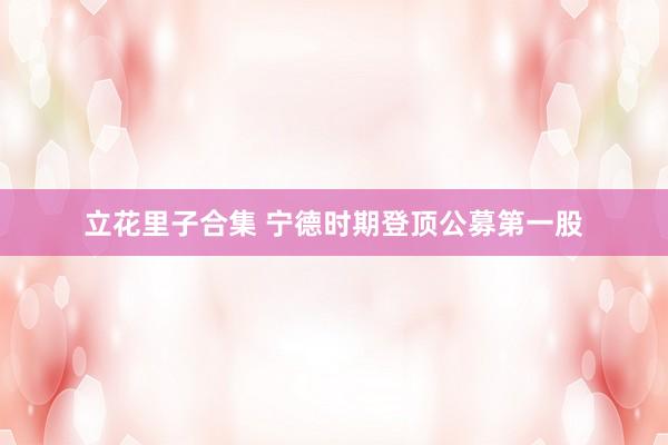 立花里子合集 宁德时期登顶公募第一股