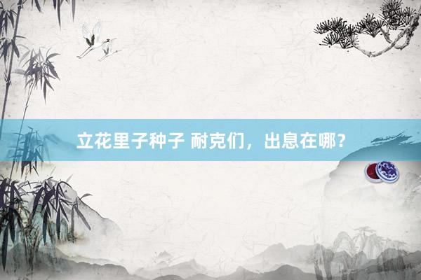 立花里子种子 耐克们，出息在哪？