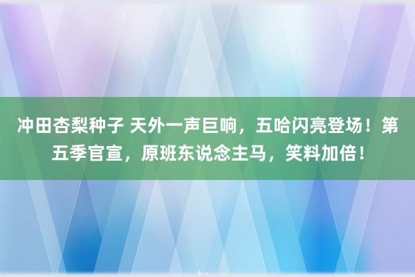 冲田杏梨种子 天外一声巨响，五哈闪亮登场！第五季官宣，原班东说念主马，笑料加倍！
