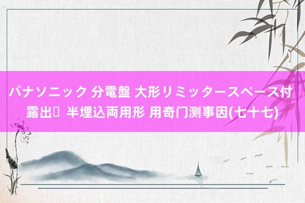 パナソニック 分電盤 大形リミッタースペース付 露出・半埋込両用形 用奇门测事因(七十七)