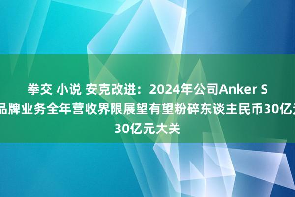 拳交 小说 安克改进：2024年公司Anker SOLIX品牌业务全年营收界限展望有望粉碎东谈主民币30亿元大关