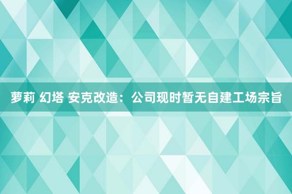 萝莉 幻塔 安克改造：公司现时暂无自建工场宗旨