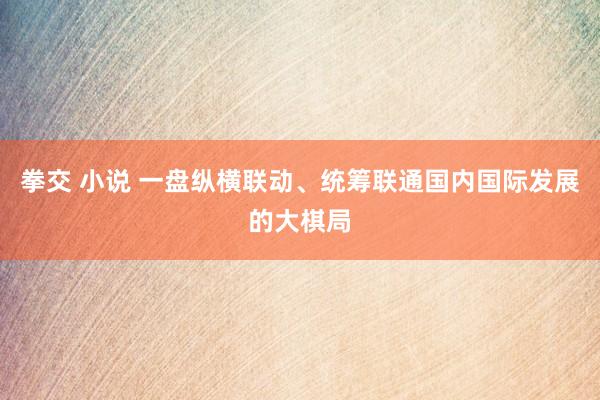 拳交 小说 一盘纵横联动、统筹联通国内国际发展的大棋局