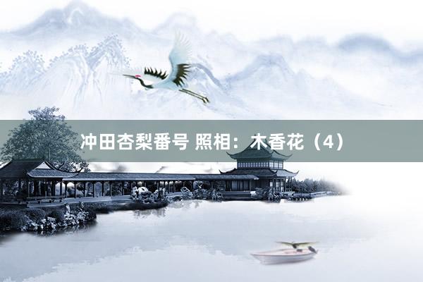 冲田杏梨番号 照相：木香花（4）