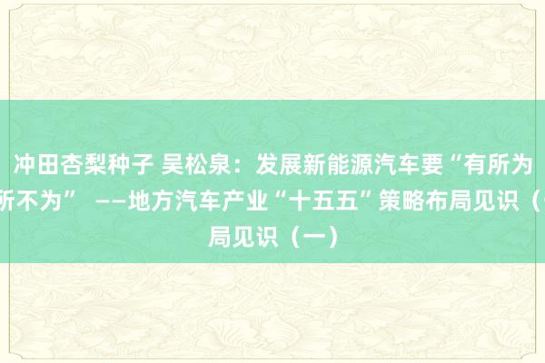冲田杏梨种子 吴松泉：发展新能源汽车要“有所为有所不为”  ——地方汽车产业“十五五”策略布局见识（一）