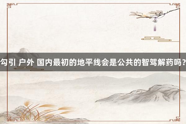 勾引 户外 国内最初的地平线会是公共的智驾解药吗？