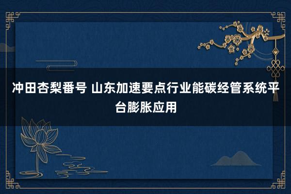 冲田杏梨番号 山东加速要点行业能碳经管系统平台膨胀应用