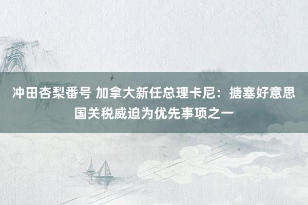 冲田杏梨番号 加拿大新任总理卡尼：搪塞好意思国关税威迫为优先事项之一