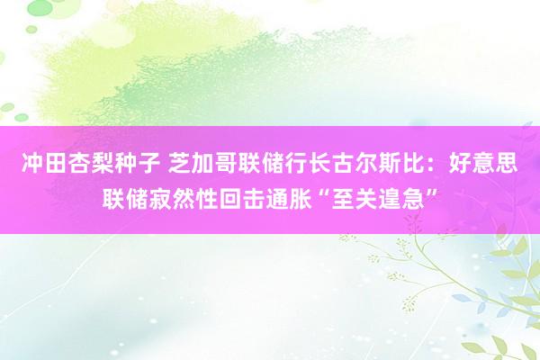 冲田杏梨种子 芝加哥联储行长古尔斯比：好意思联储寂然性回击通胀“至关遑急”