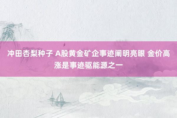 冲田杏梨种子 A股黄金矿企事迹阐明亮眼 金价高涨是事迹驱能源之一