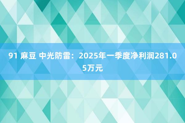 91 麻豆 中光防雷：2025年一季度净利润281.05万元