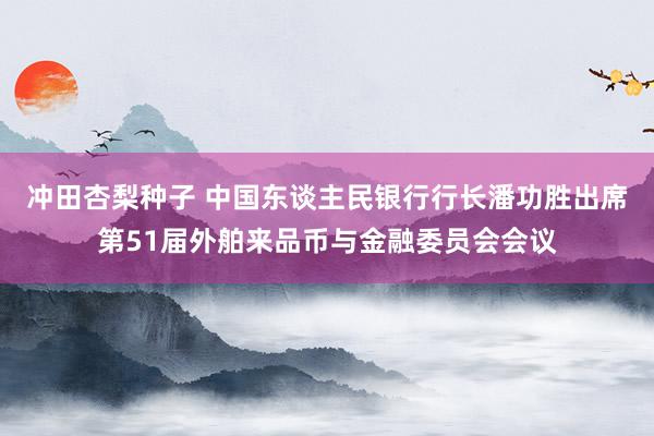 冲田杏梨种子 中国东谈主民银行行长潘功胜出席第51届外舶来品币与金融委员会会议