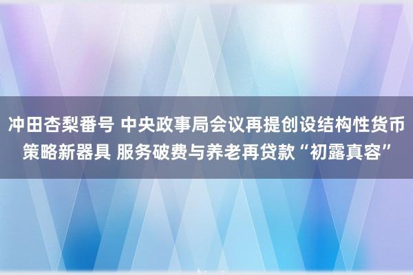 冲田杏梨番号 中央政事局会议再提创设结构性货币策略新器具 服务破费与养老再贷款“初露真容”