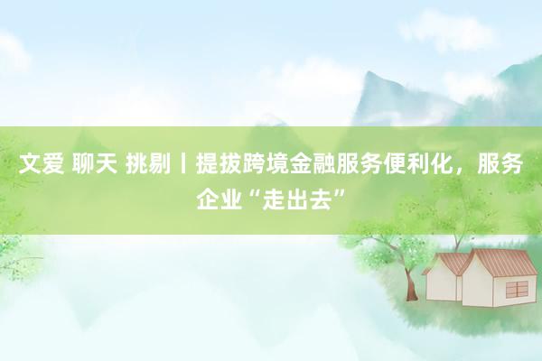 文爱 聊天 挑剔丨提拔跨境金融服务便利化，服务企业“走出去”