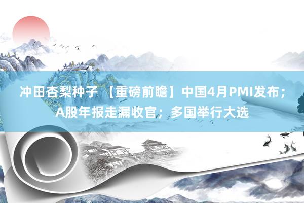 冲田杏梨种子 【重磅前瞻】中国4月PMI发布；A股年报走漏收官；多国举行大选