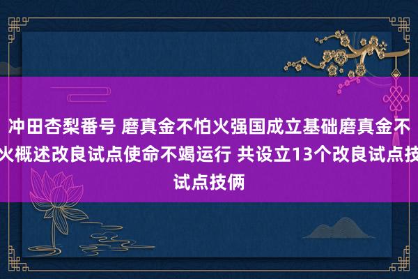 冲田杏梨番号 磨真金不怕火强国成立基础磨真金不怕火概述改良试点使命不竭运行 共设立13个改良试点技俩