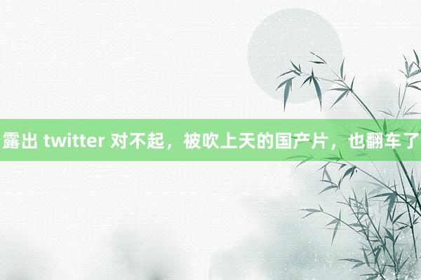 露出 twitter 对不起，被吹上天的国产片，也翻车了